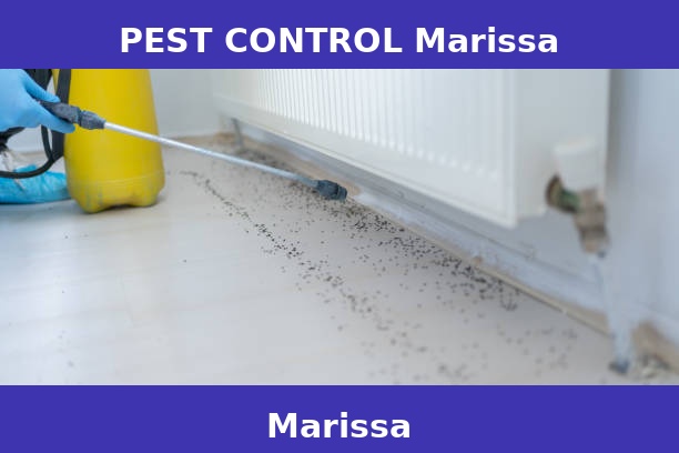 PEST CONTROL Marissa